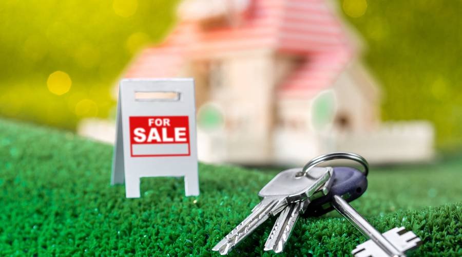 
TINY-HOUSE-WITH-LAND-FOR-SALE
